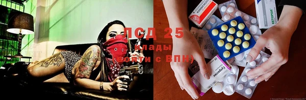 a pvp Армянск