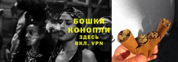 экстази Бикин
