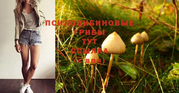 spice Арсеньев