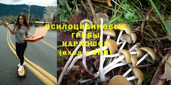 spice Арсеньев