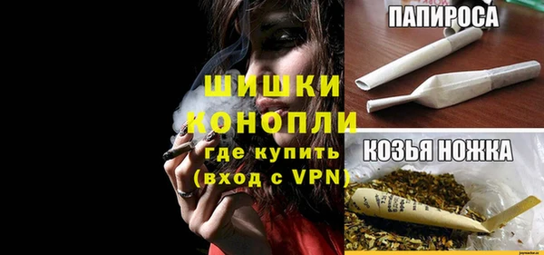 экстази Бикин